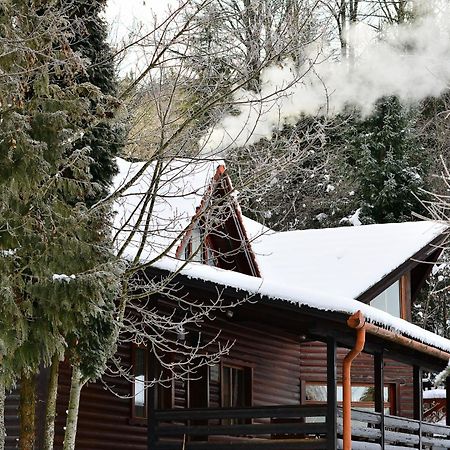 Filio Villa Izvoare  Bagian luar foto